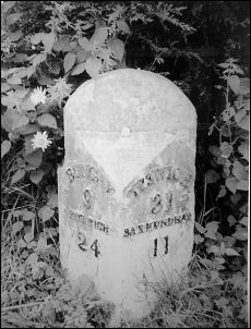 detail of milepost at TM384768Photo: D Hamilton, 1983~1987