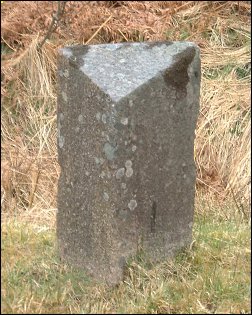 detail of South Tullich milestone at NN094184