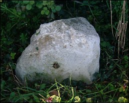 detail of Kesgrave High (stone) milestone at TM224459
