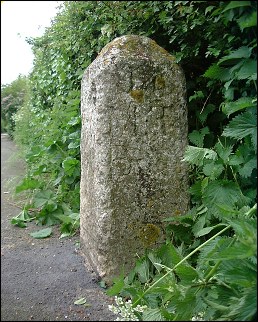 detail of Rickinghall milestone at TM037751