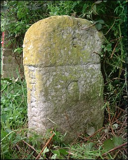 detail of Bracon Ash milestone at TG182001