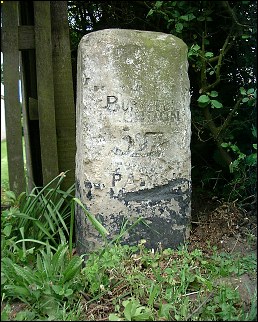 detail of Stour Valley Path milestone at TL619615
