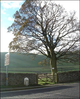 detail of Castleton milepost at SK146829