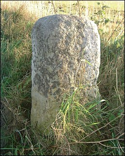 detail of Rollesby milestone at TG452161