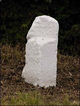 detail of The Maplesteads milestone at TL831338