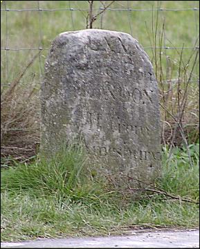 detail of Stonehenge milestone at SU123423