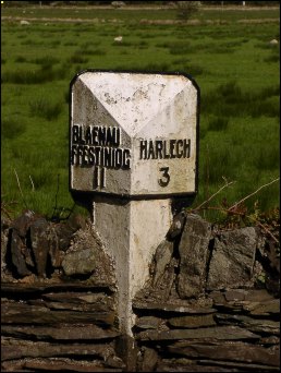 detail of Glyn-cywarch milepost at SH604341