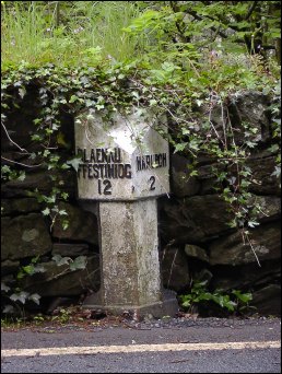 detail of Lasynys-fawr milepost at SH600326