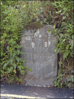 detail of Moss Hill milestone at SH809529