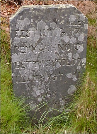 detail of Cwn Hafodyredwydd milestone at SH767468
